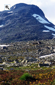Looking up the south east ridge from near Olavsbu cabin