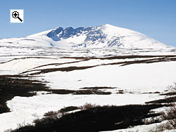Snhetta looms across the tundra from Snheim, the west ridge is on the right