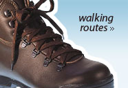 walking routes